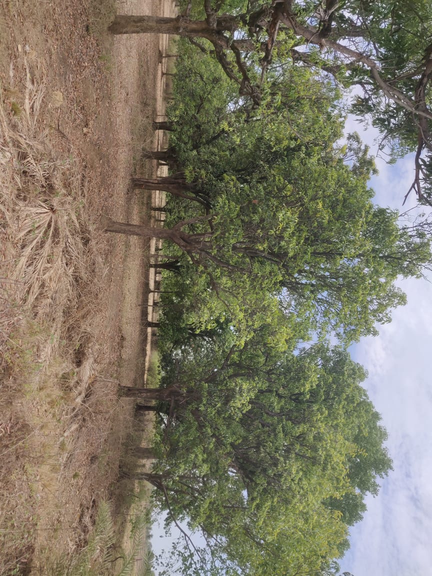 Property-image